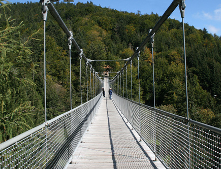 218 Meter ist sie lang: Die Seilbrcke im Steinwasenpark bei Oberried. Foto: Steinwasenpark