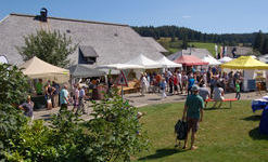 Blick auf das Markttreiben auf dem Naturpark-Markt in Bernau. Foto: Heike Budig