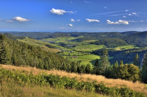 Blick auf das Bernauer Hochtal im südlichen Schwarzwald. Foto: Erich Spiegelhalter