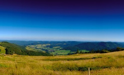 Wiesenlandschaft am Herzogenhorn, dem Hausberg von Bernau und mit 1.415 Metern zweithöchster Gipfel im Schwarzwald. Foto: Birgit-Cathrin Duval