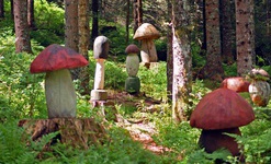 Im Pilzwald auf dem Zauberwald-Pfad. Foto: Heike Budig