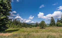 Blick in die Moorlandschaft des Taubenmoos. Foto: Klaus Hansen