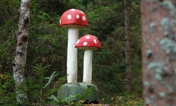 Fliegenpilze aus Holz leuchten im Pilzwald. Foto: Heike Budig