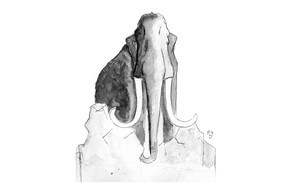 Der Mammut von Florian Hoberg & Marie Denecke & Sandra Steiner