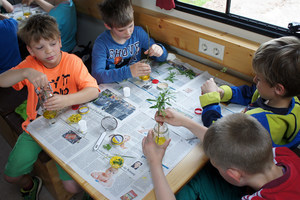 Beim Wiesencreme herstellen im komobil. Foto: komobil