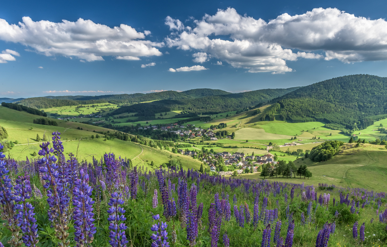 Bernau Schwarzwald Hochtal Steig Blick auf Dorf und ins Hochtal Fruehsommer Abend.jpg