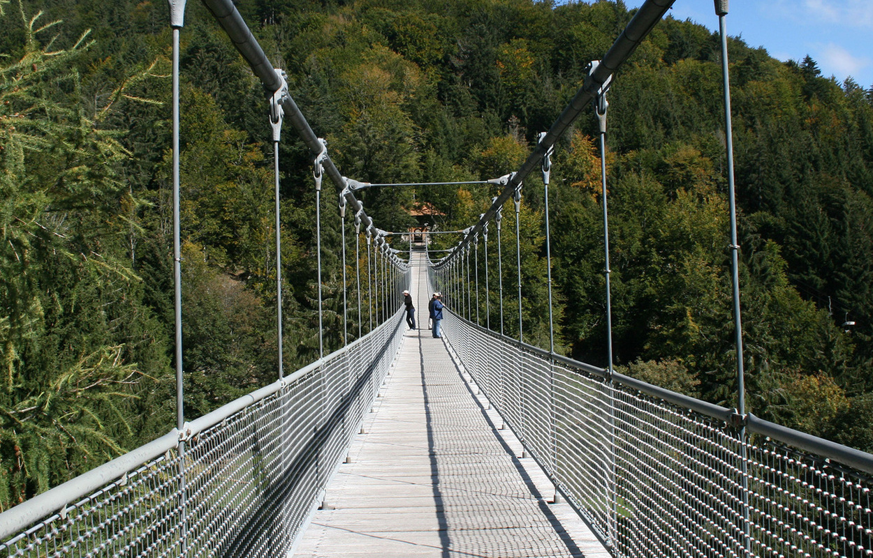 Die Hängebrücke im Steinwasenpark bei Oberried. Foto: Steinwasenpark