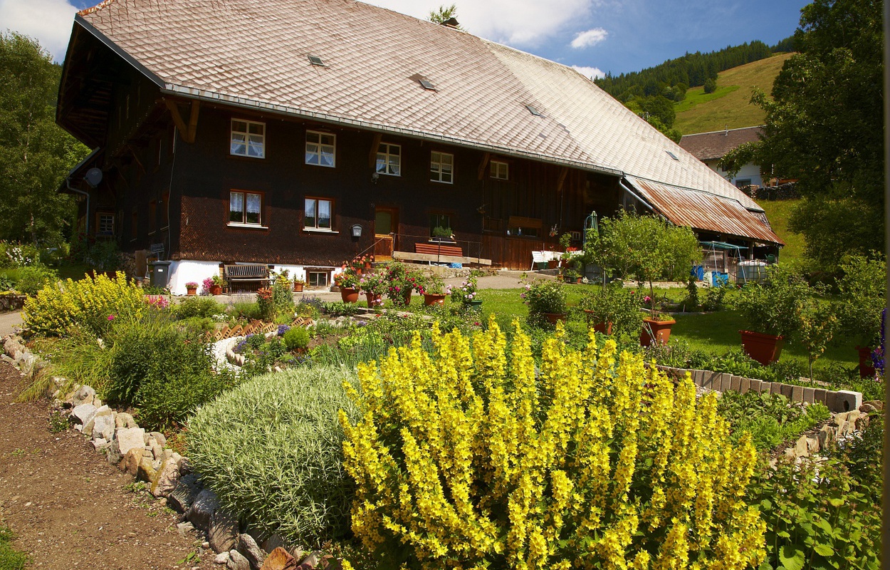 Schwarzwlder Bauernhaus in Bernau. 