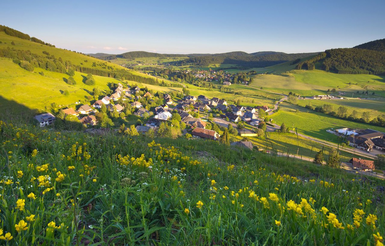 Blick ins Bernau Hochtal im sdlichen Schwarzwald: Deutschland-Urlauber whlten Bernau unter die Top 100 deutscher Reiseziele. Foto: Michael Arndt