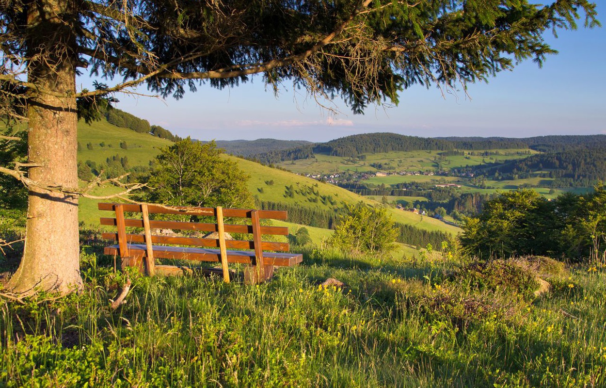 Panoramaweg in Bernau im Schwarzwald