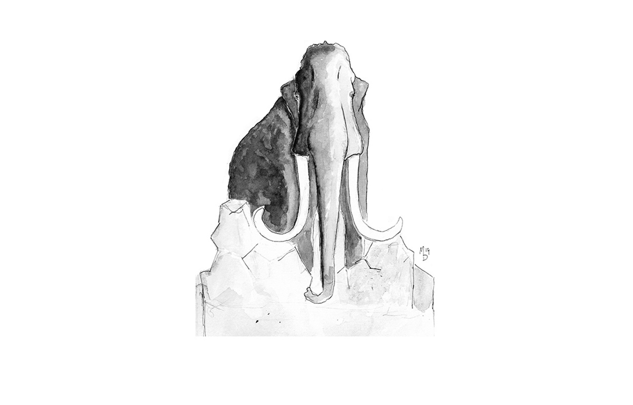 Die Eiszeit wird in Bernau lebendig: Ein Mammut wird zur Schneeskulptur. An der Arbeit: Marie Denecke, Sandra Steiner und Florian Hoberg beim 7. Schneeskulpturen-Festival in Bernau.