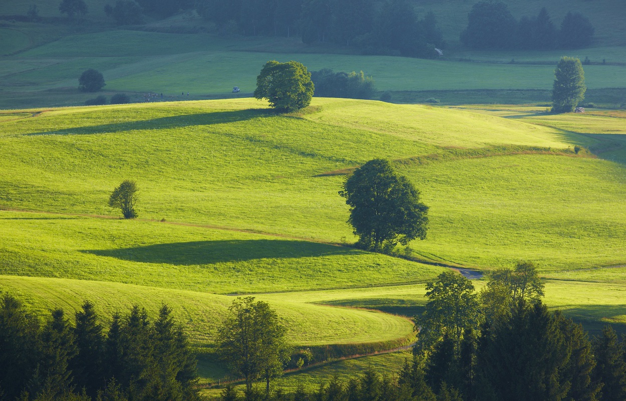 Talauen im Bernauer Hochtal im Abendlicht. Foto: Erich Spiegelhalter