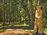Geführte Führungen durch den Zauberwald
