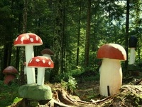 Geführte Führungen durch den Zauberwald