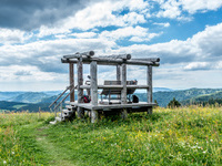 Geführte Wanderungen mit dem Schwarzwaldverein