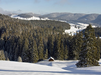 Jubiläumswanderung mit dem Schwarzwaldverein "125 km durch Bernau"
